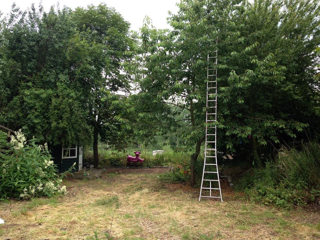 Heks B&B De Henehoeve المظهر الخارجي الصورة