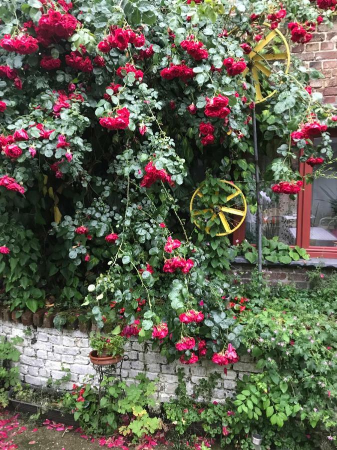 Heks B&B De Henehoeve المظهر الخارجي الصورة